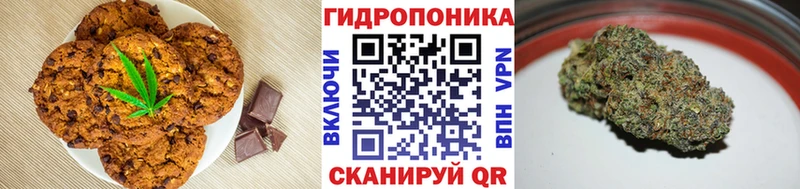 блэк спрут онион  Завитинск  Canna-Cookies конопля 