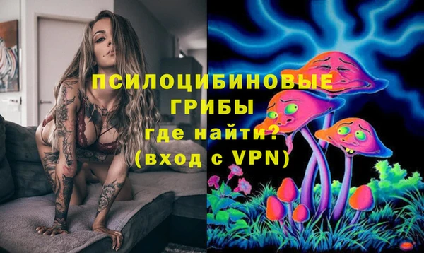 эйфоретик Алзамай