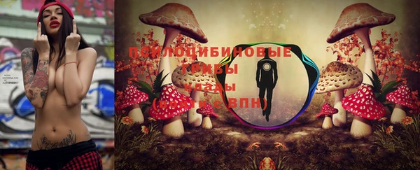 эйфоретик Алзамай