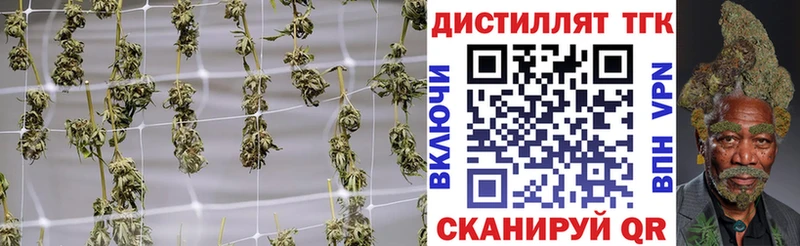 Дистиллят ТГК концентрат  Завитинск 